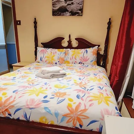 Fox * دروغيدا